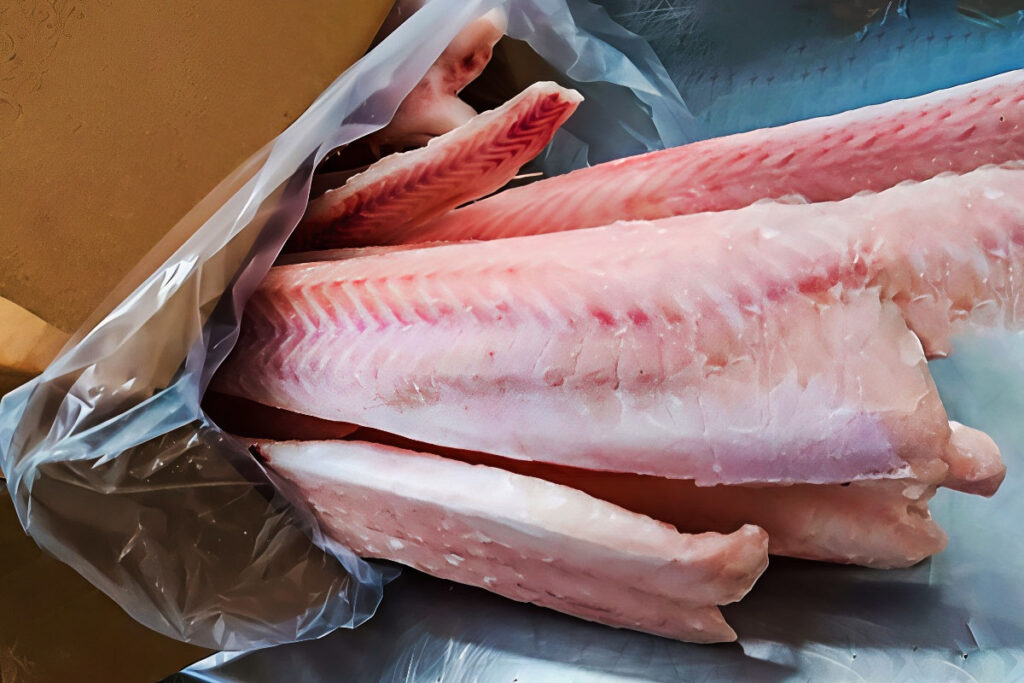 golden conger eel kingclip