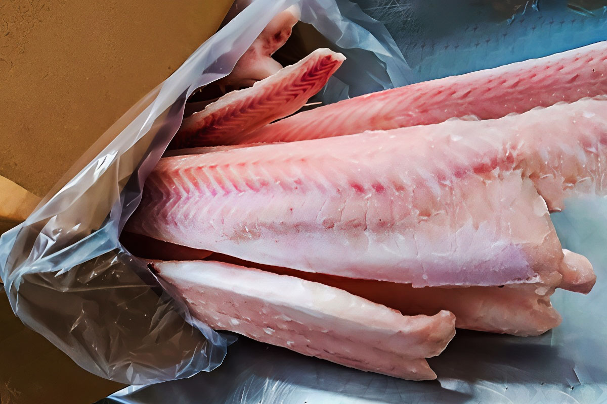 golden conger eel kingclip