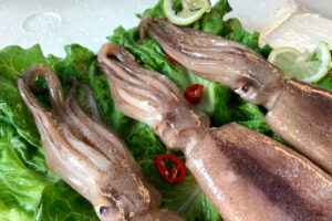 illed squid