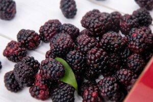 Blackberries